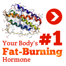 Dieting Tips For Weight Loss In Urdu Dieting tips for weight loss in urdu